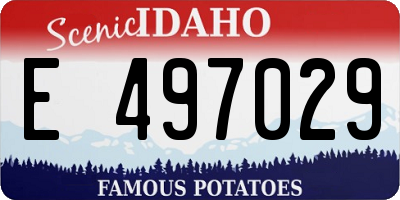 ID license plate E497029