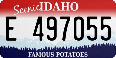 ID license plate E497055