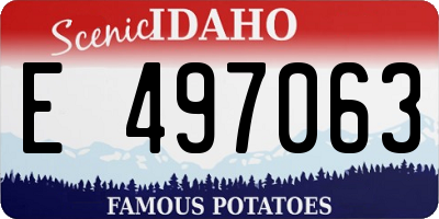 ID license plate E497063