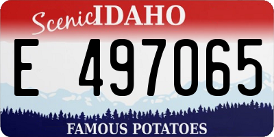 ID license plate E497065