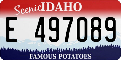 ID license plate E497089
