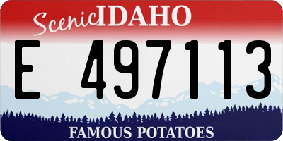 ID license plate E497113