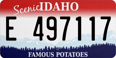 ID license plate E497117