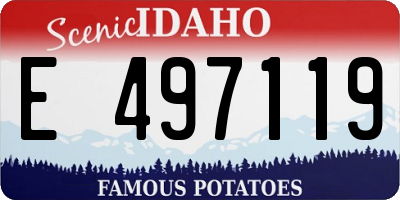 ID license plate E497119