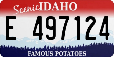 ID license plate E497124