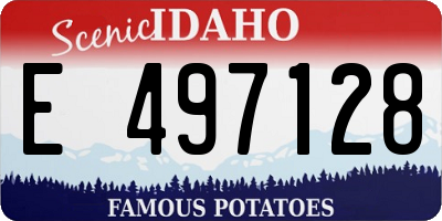 ID license plate E497128