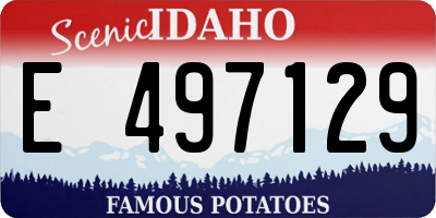 ID license plate E497129