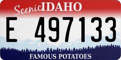 ID license plate E497133