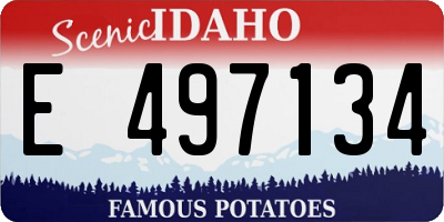 ID license plate E497134