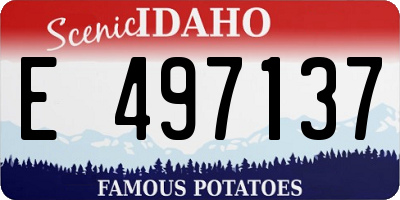ID license plate E497137