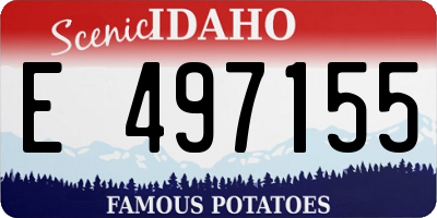ID license plate E497155
