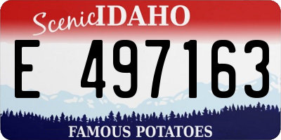 ID license plate E497163