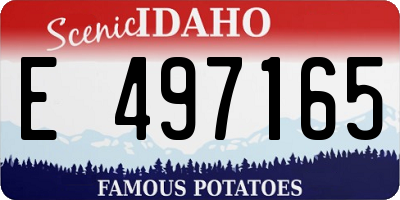 ID license plate E497165