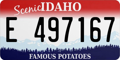 ID license plate E497167
