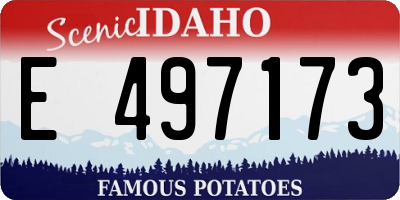 ID license plate E497173
