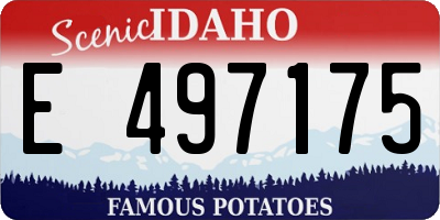 ID license plate E497175