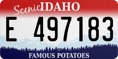 ID license plate E497183