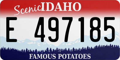 ID license plate E497185
