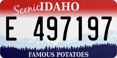 ID license plate E497197