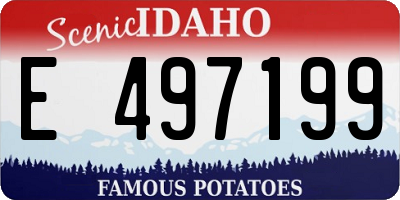 ID license plate E497199