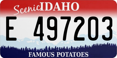 ID license plate E497203