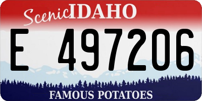 ID license plate E497206