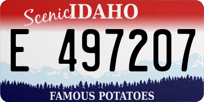 ID license plate E497207