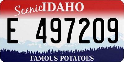 ID license plate E497209