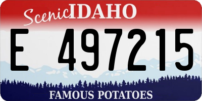 ID license plate E497215