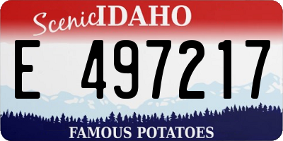 ID license plate E497217