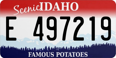 ID license plate E497219