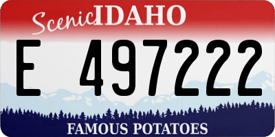 ID license plate E497222