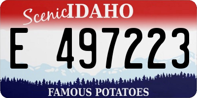 ID license plate E497223