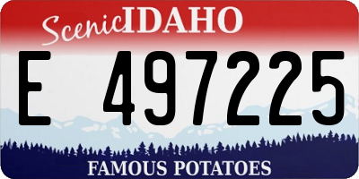 ID license plate E497225