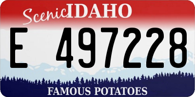 ID license plate E497228