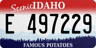 ID license plate E497229