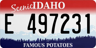 ID license plate E497231