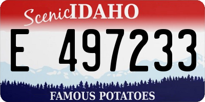 ID license plate E497233