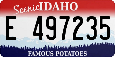 ID license plate E497235
