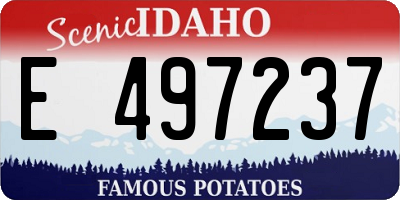 ID license plate E497237