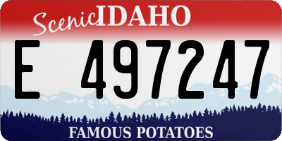 ID license plate E497247
