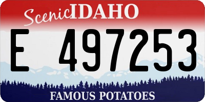ID license plate E497253