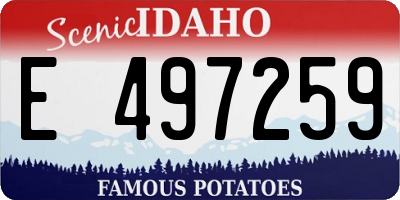 ID license plate E497259