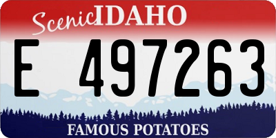 ID license plate E497263