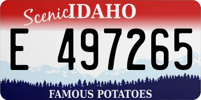 ID license plate E497265