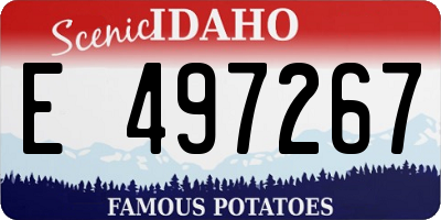 ID license plate E497267