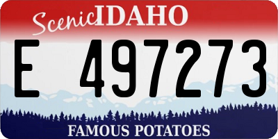 ID license plate E497273