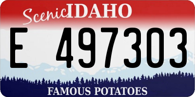 ID license plate E497303