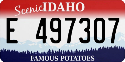 ID license plate E497307