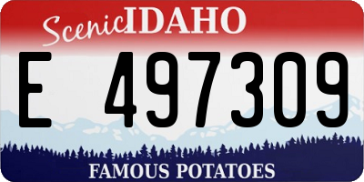 ID license plate E497309